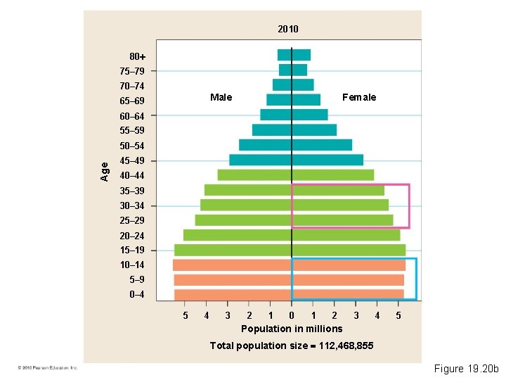 2010 80 75– 79 70– 74 Female Male 65– 69 60– 64 55– 59
