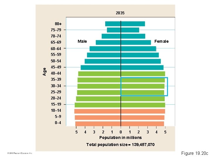 2035 80 75– 79 70– 74 Female Male 65– 69 60– 64 55– 59