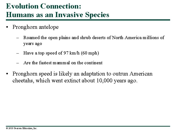 Evolution Connection: Humans as an Invasive Species • Pronghorn antelope – Roamed the open