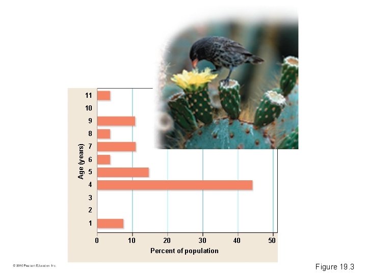 11 10 9 Age (years) 8 7 6 5 4 3 2 1 0