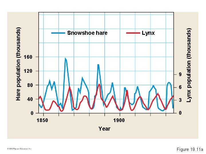 Lynx 160 120 9 80 6 40 3 0 0 1850 Lynx population (thousands)