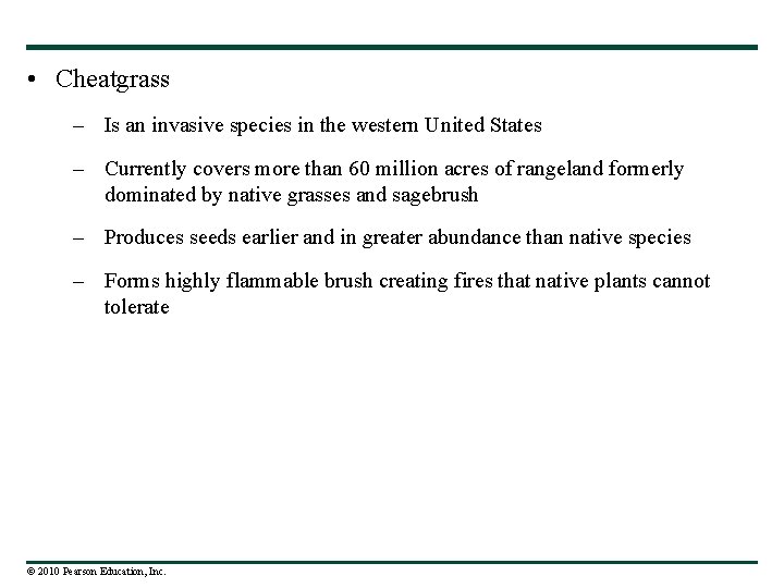  • Cheatgrass – Is an invasive species in the western United States –