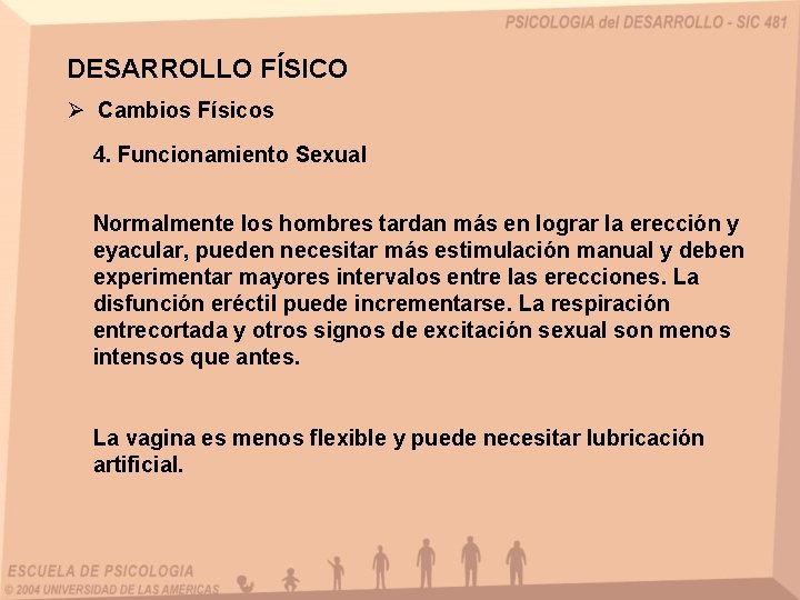 DESARROLLO FÍSICO Ø Cambios Físicos 4. Funcionamiento Sexual Normalmente los hombres tardan más en