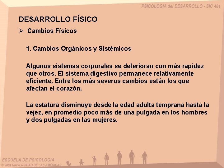 DESARROLLO FÍSICO Ø Cambios Físicos 1. Cambios Orgánicos y Sistémicos Algunos sistemas corporales se