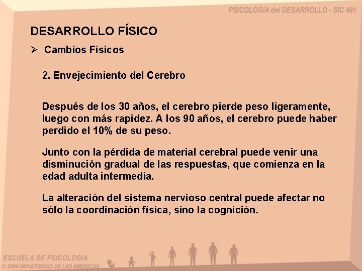 DESARROLLO FÍSICO Ø Cambios Físicos 2. Envejecimiento del Cerebro Después de los 30 años,
