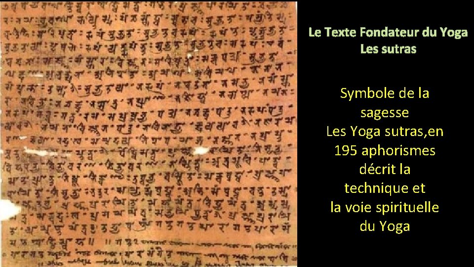 Le Texte Fondateur du Yoga Les sutras Symbole de la sagesse Les Yoga sutras,