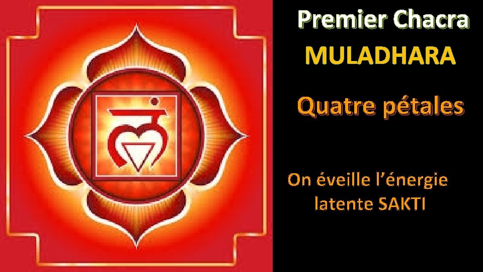 Premier Chacra MULADHARA Quatre pétales On éveille l’énergie latente SAKTI 