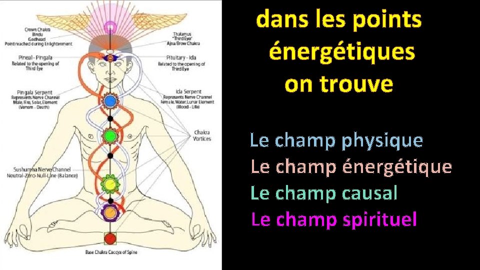 dans les points énergétiques on trouve Le champ physique Le champ énergétique Le champ