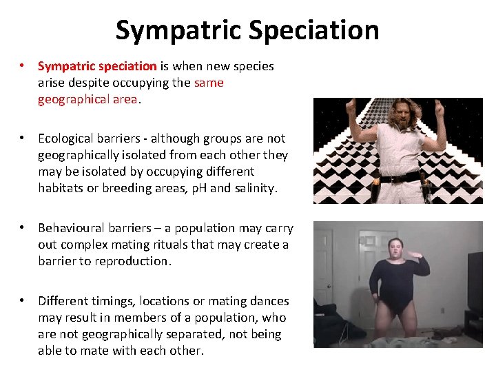 Sympatric Speciation • Sympatric speciation is when new species arise despite occupying the same