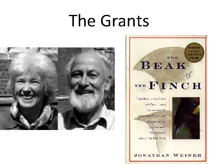 The Grants 