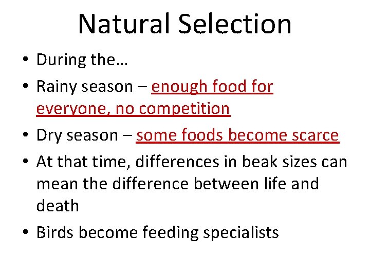 Natural Selection • During the… • Rainy season – enough food for everyone, no