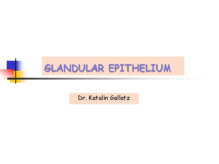 GLANDULAR EPITHELIUM Dr. Katalin Gallatz 