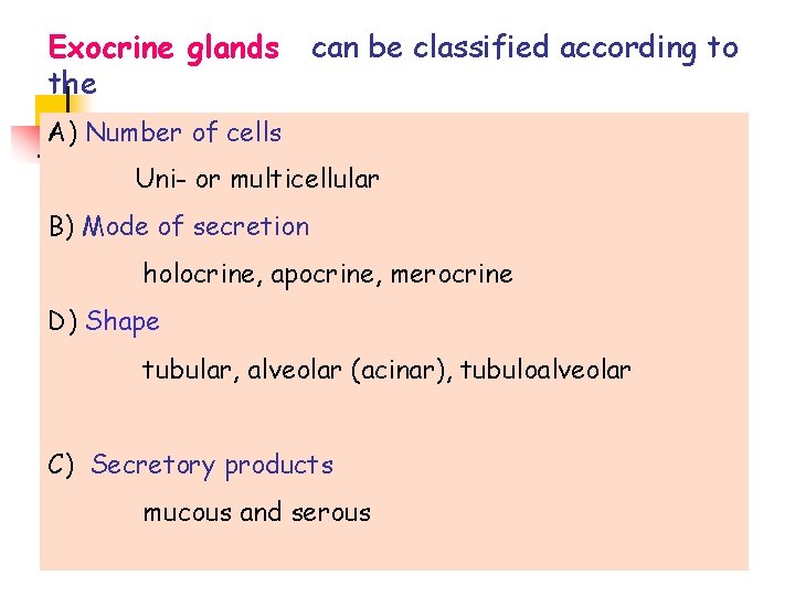 Exocrine glands the can be classified according to A) Number of cells Uni- or