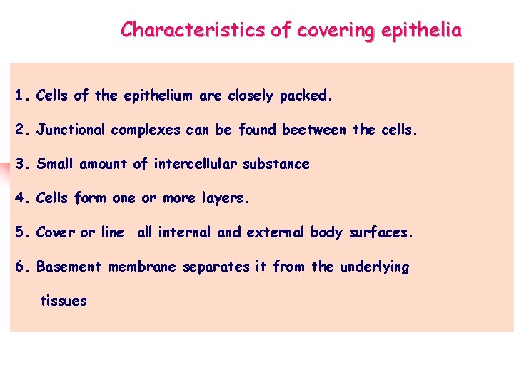 Characteristics of covering epithelia 1. Cells of the epithelium are closely packed. 2. Junctional