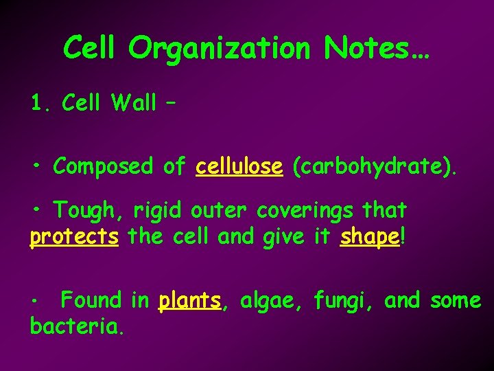 Cell Organization Notes… 1. Cell Wall – • Composed of cellulose (carbohydrate). • Tough,