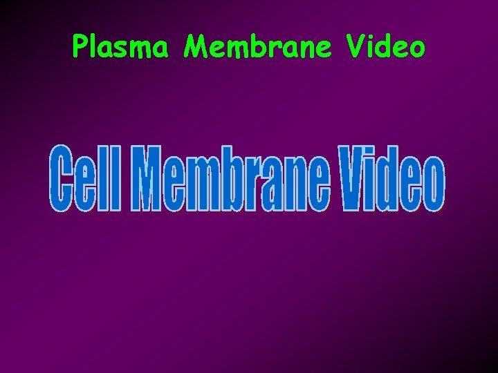 Plasma Membrane Video 