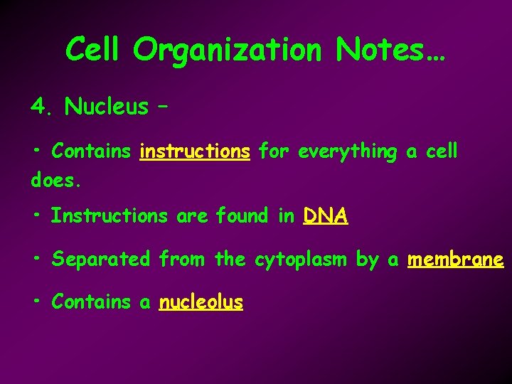 Cell Organization Notes… 4. Nucleus – • Contains instructions for everything a cell does.
