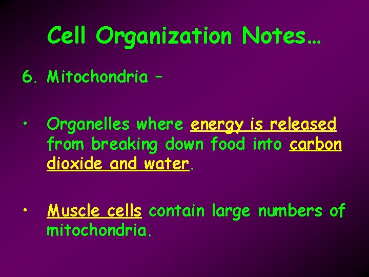 Cell Organization Notes… 6. Mitochondria – • Organelles where energy is released from breaking