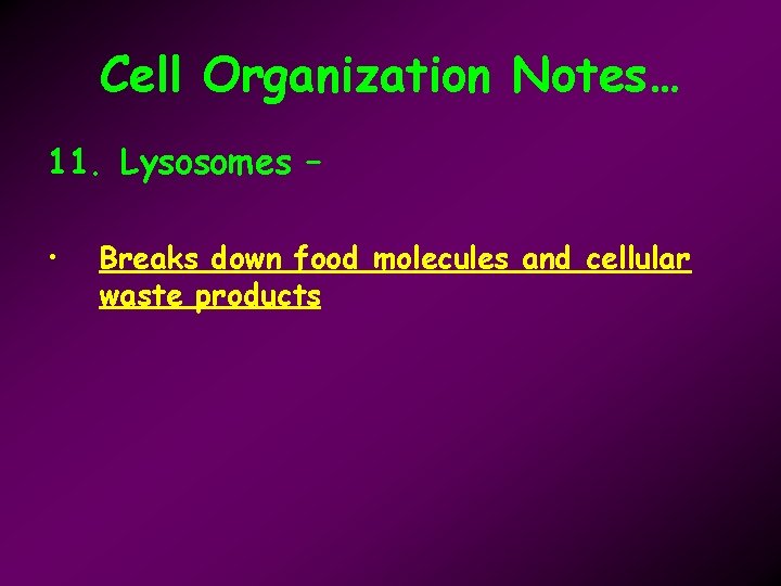 Cell Organization Notes… 11. Lysosomes – • Breaks down food molecules and cellular waste