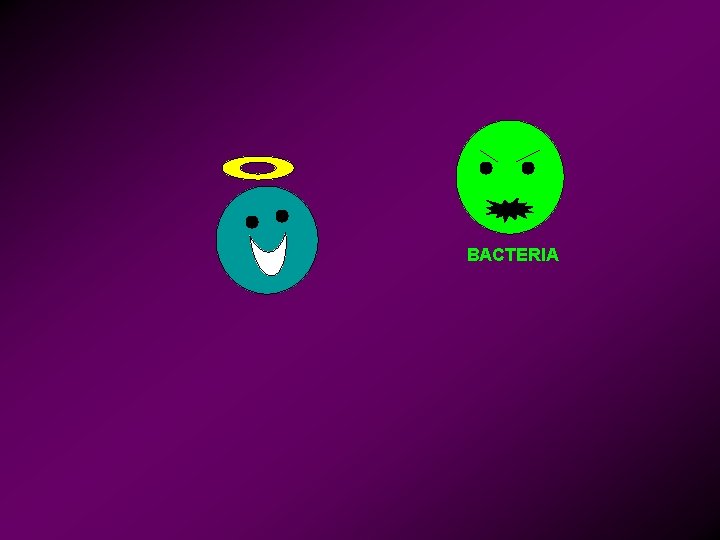 BACTERIA 