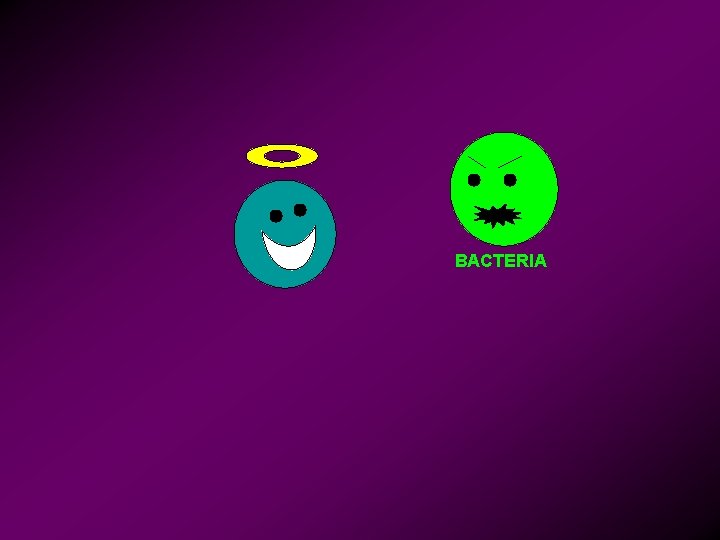 BACTERIA 