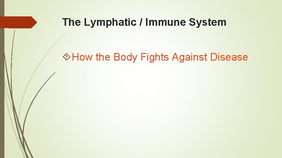 The Lymphatic / Immune System How the Body Fights Against Disease 