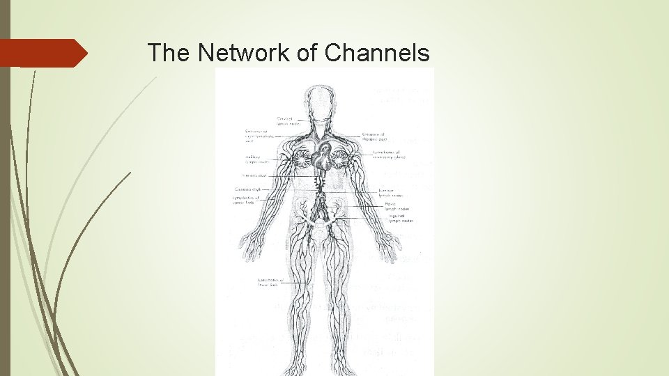 The Network of Channels 