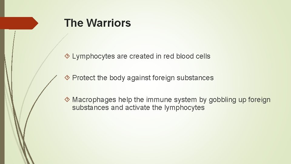 The Warriors Lymphocytes are created in red blood cells Protect the body against foreign
