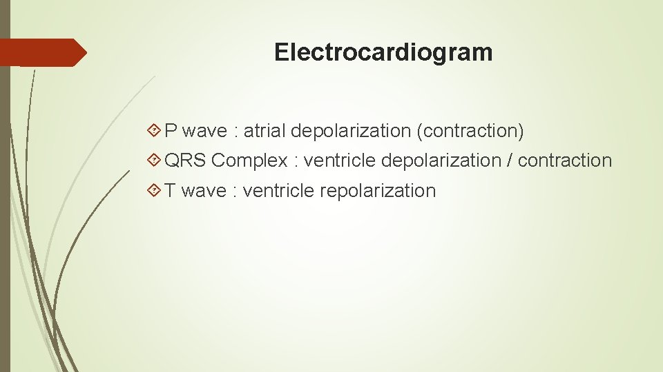 Electrocardiogram P wave : atrial depolarization (contraction) QRS Complex : ventricle depolarization / contraction