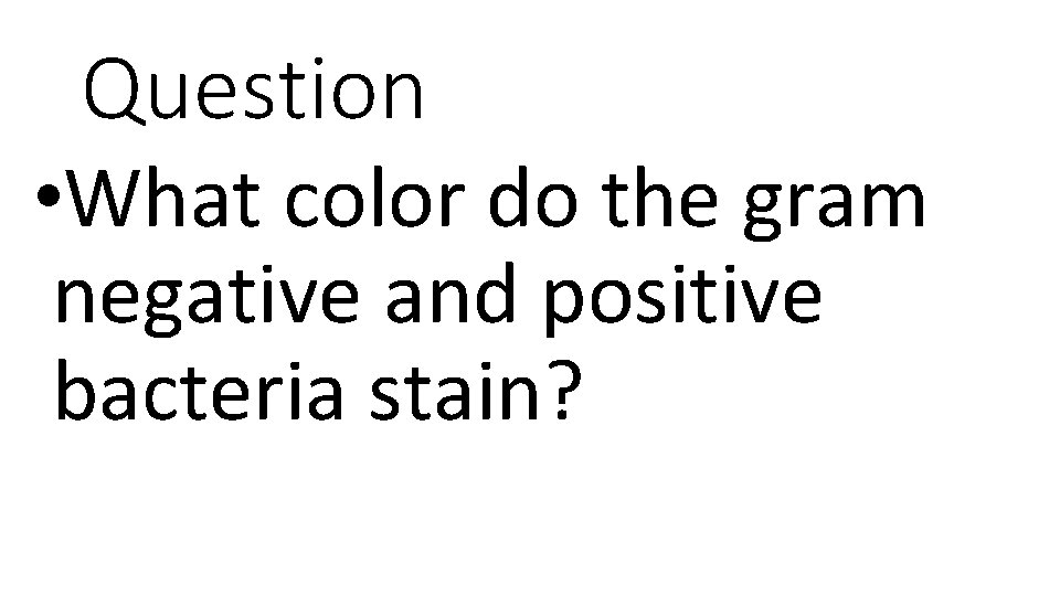 Question • What color do the gram negative and positive bacteria stain? 