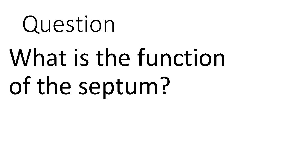 Question What is the function of the septum? 