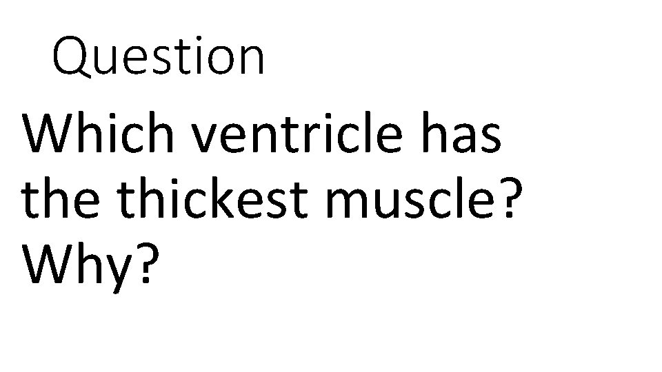 Question Which ventricle has the thickest muscle? Why? 