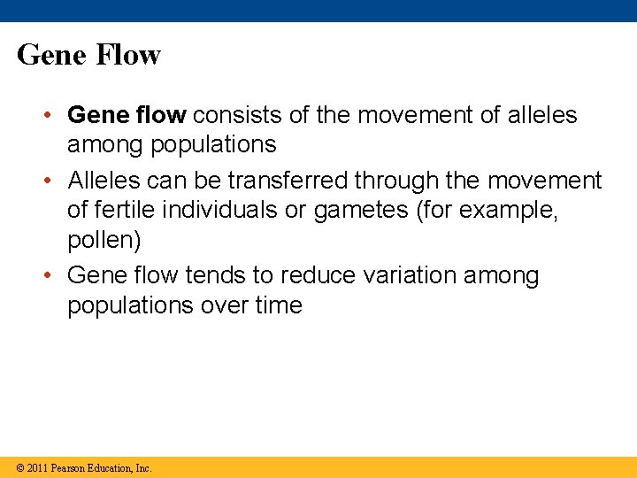 Gene Flow • Gene flow consists of the movement of alleles among populations • Gene Flow • Gene flow consists of the movement of alleles among populations •
