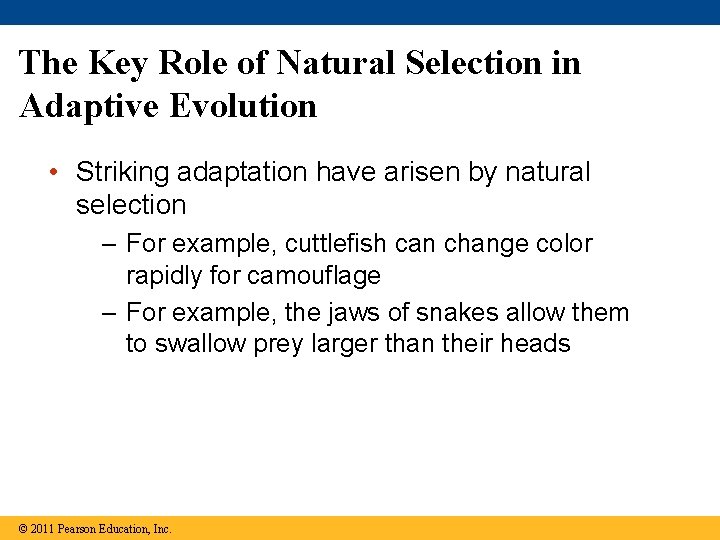 The Key Role of Natural Selection in Adaptive Evolution • Striking adaptation have arisen The Key Role of Natural Selection in Adaptive Evolution • Striking adaptation have arisen