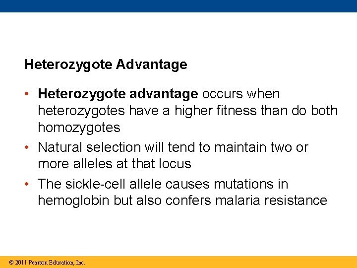 Heterozygote Advantage • Heterozygote advantage occurs when heterozygotes have a higher fitness than do Heterozygote Advantage • Heterozygote advantage occurs when heterozygotes have a higher fitness than do