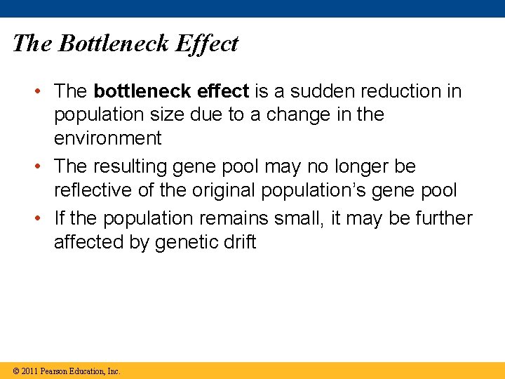 The Bottleneck Effect • The bottleneck effect is a sudden reduction in population size The Bottleneck Effect • The bottleneck effect is a sudden reduction in population size