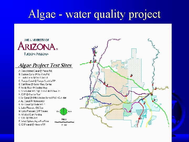 Algae - water quality project 