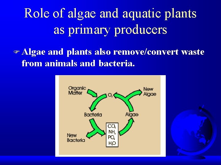 Role of algae and aquatic plants as primary producers F Algae and plants also