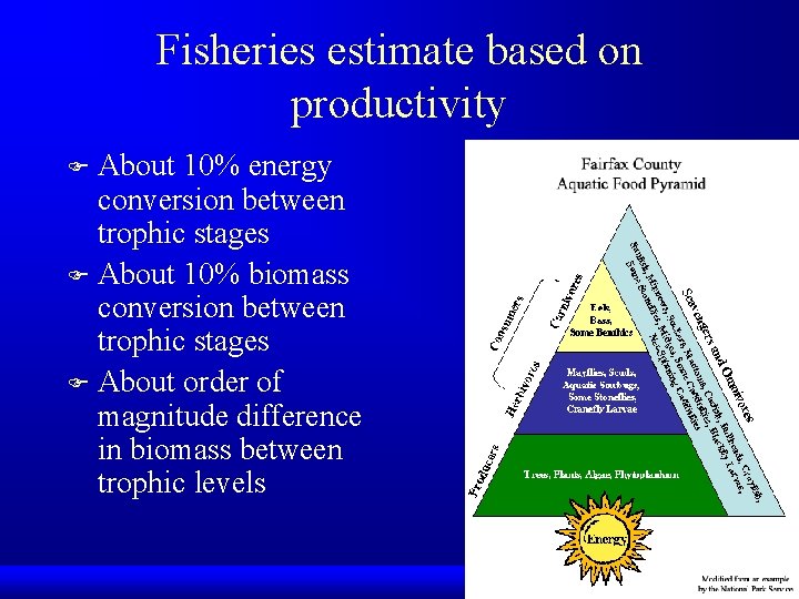 Fisheries estimate based on productivity About 10% energy conversion between trophic stages F About