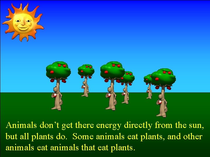 Animals don’t get there energy directly from the sun, but all plants do. Some