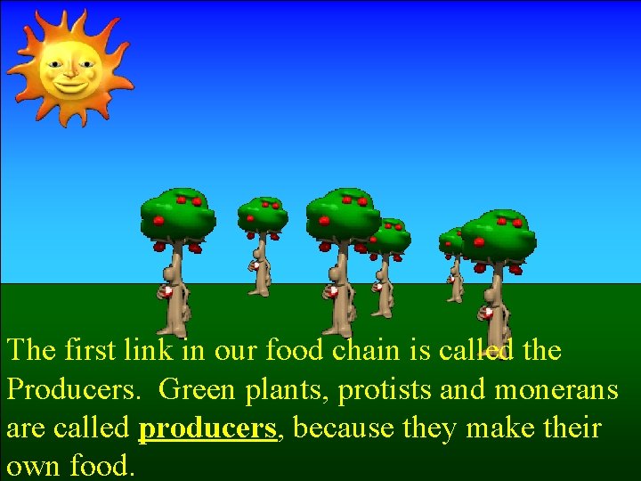 The first link in our food chain is called the Producers. Green plants, protists