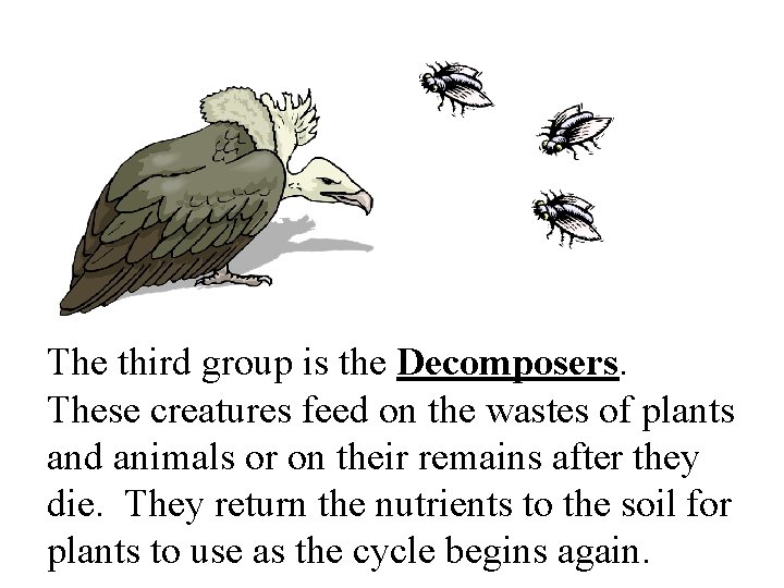The third group is the Decomposers. These creatures feed on the wastes of plants