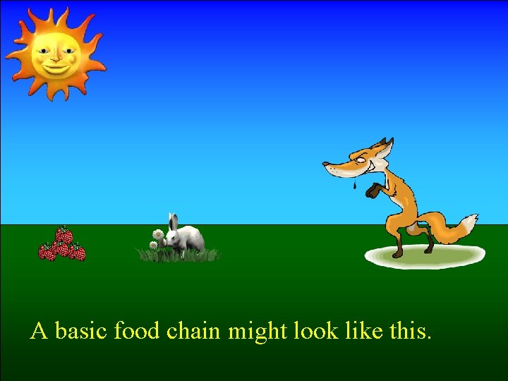 A basic food chain might look like this. 