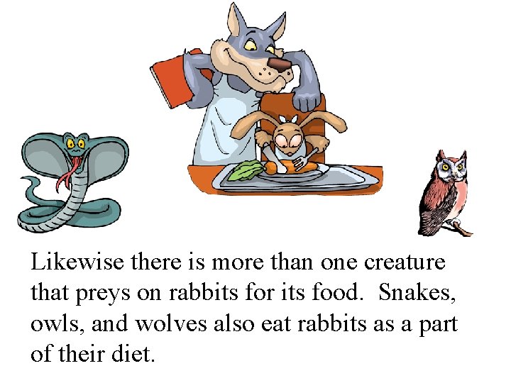 Likewise there is more than one creature that preys on rabbits for its food.