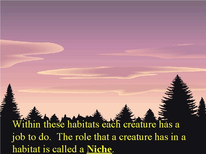 Within these habitats each creature has a job to do. The role that a