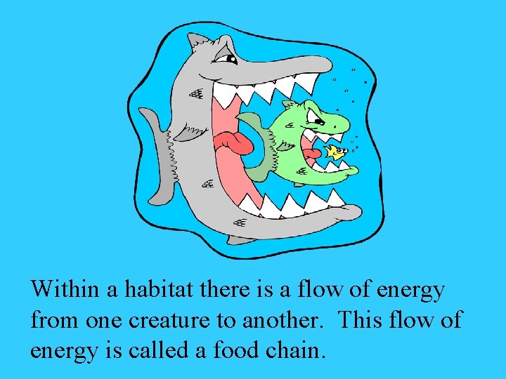 Within a habitat there is a flow of energy from one creature to another.