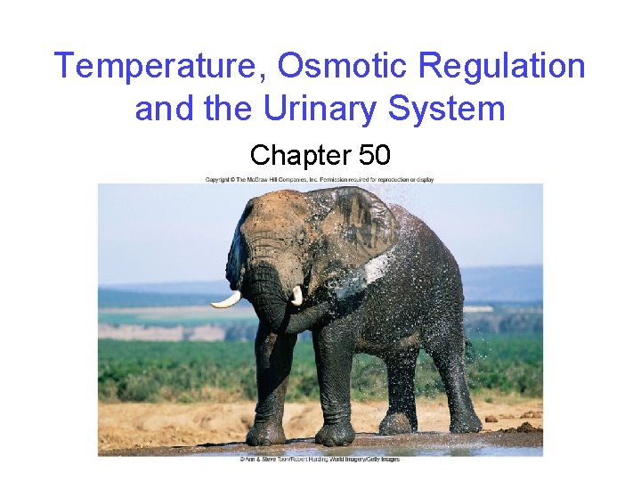 Temperature, Osmotic Regulation and the Urinary System Chapter 50 
