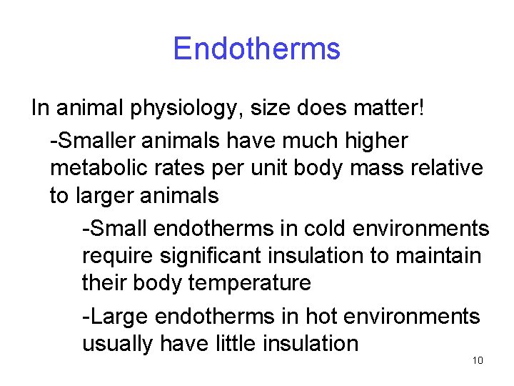 Endotherms In animal physiology, size does matter! -Smaller animals have much higher metabolic rates