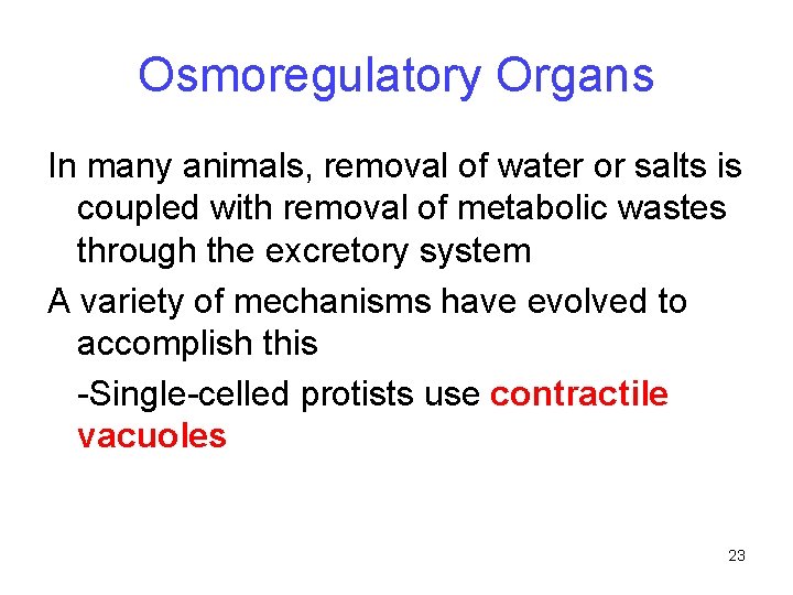Osmoregulatory Organs In many animals, removal of water or salts is coupled with removal