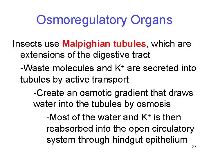 Osmoregulatory Organs Insects use Malpighian tubules, which are extensions of the digestive tract -Waste